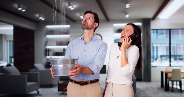 Best Professional water damage repair  in Clay, KY